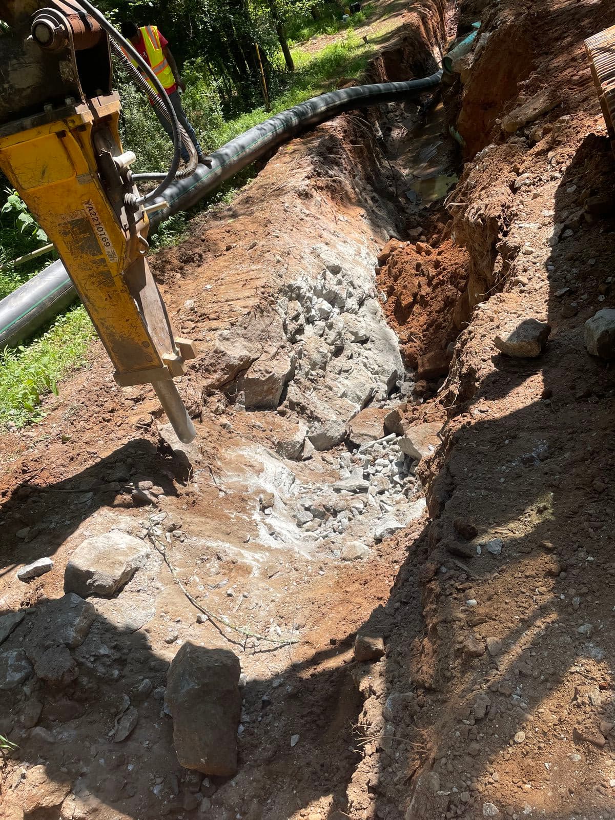 Complex Conduit Network